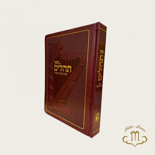 Sefer Tehilim Bordeau Ohel Menahem Mendel