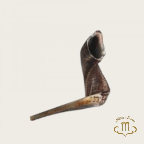 Shofar taille 5, 40-45 cm